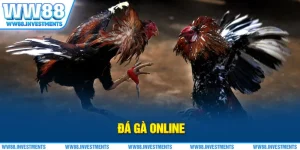 Đá Gà Online - Sảnh Game Gà Chọi WW88 Thưởng Người Mới 88K